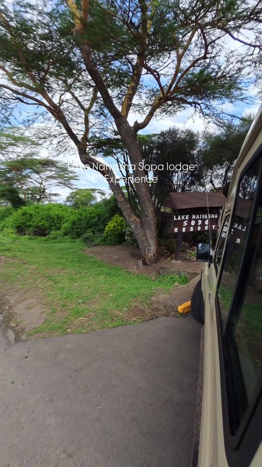 TikTok video thumbnail by stejostours