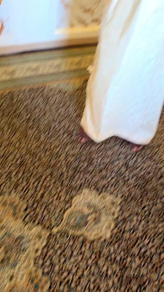 TikTok video thumbnail by oumarabakaralkhalil