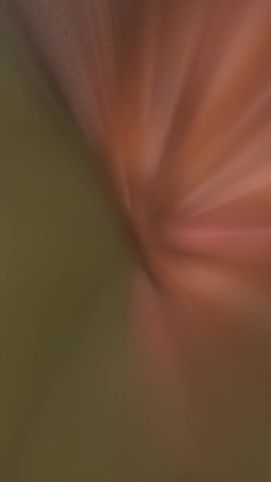 TikTok video thumbnail by user2929343148258