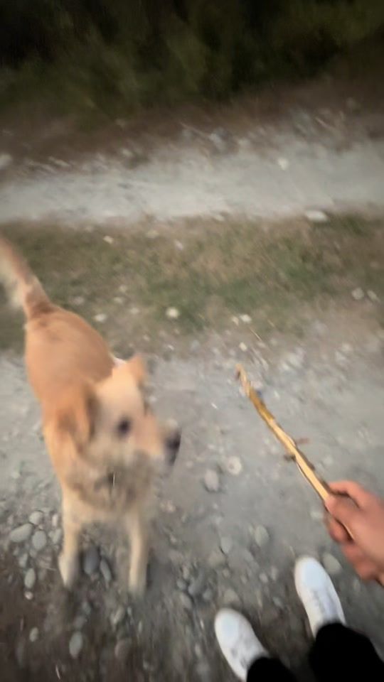 TikTok video thumbnail by xes788