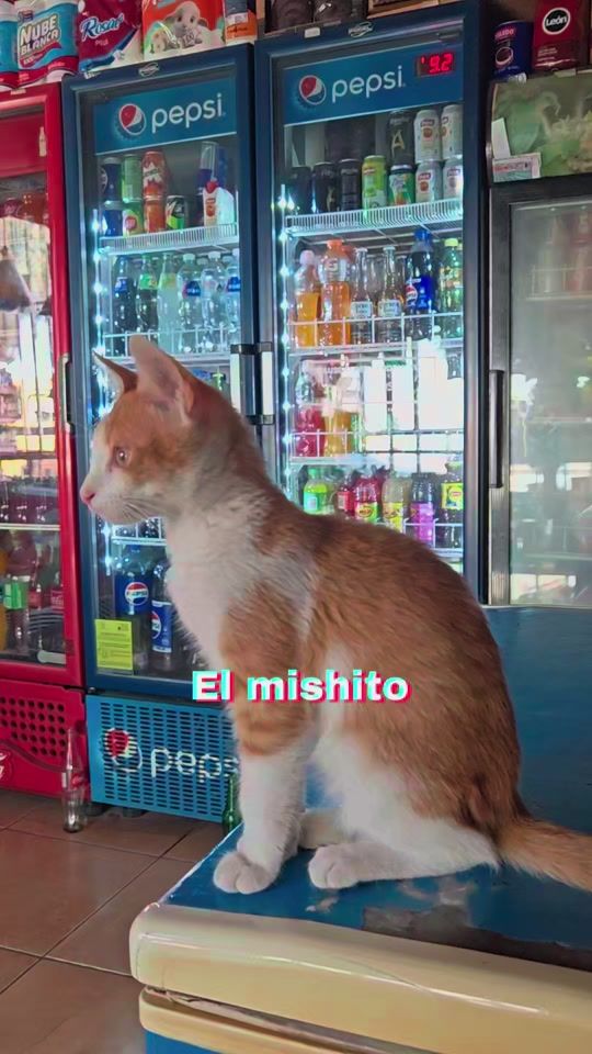 TikTok video thumbnail by emiliojax