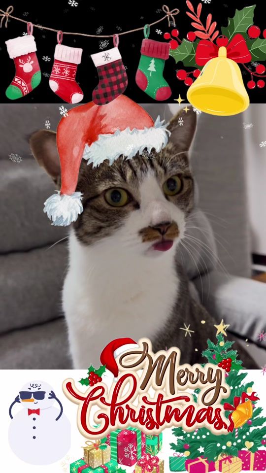 TikTok video thumbnail by bun.1225