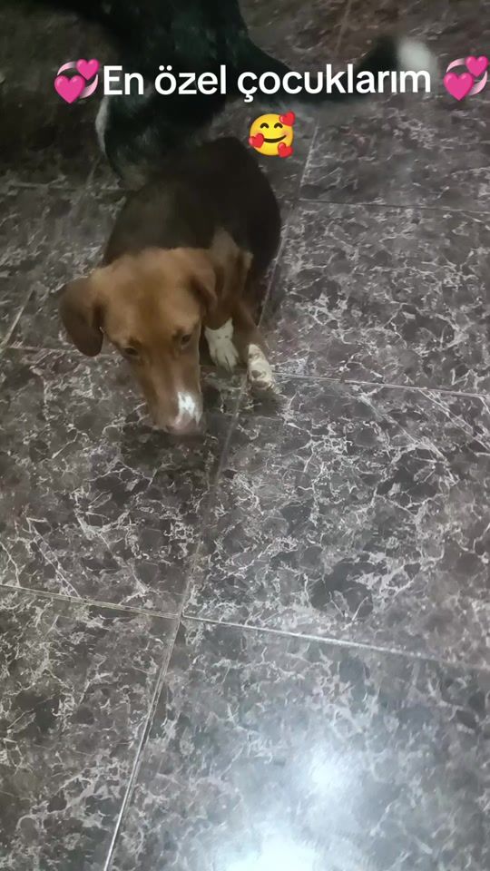 TikTok video thumbnail by inci_mm_1
