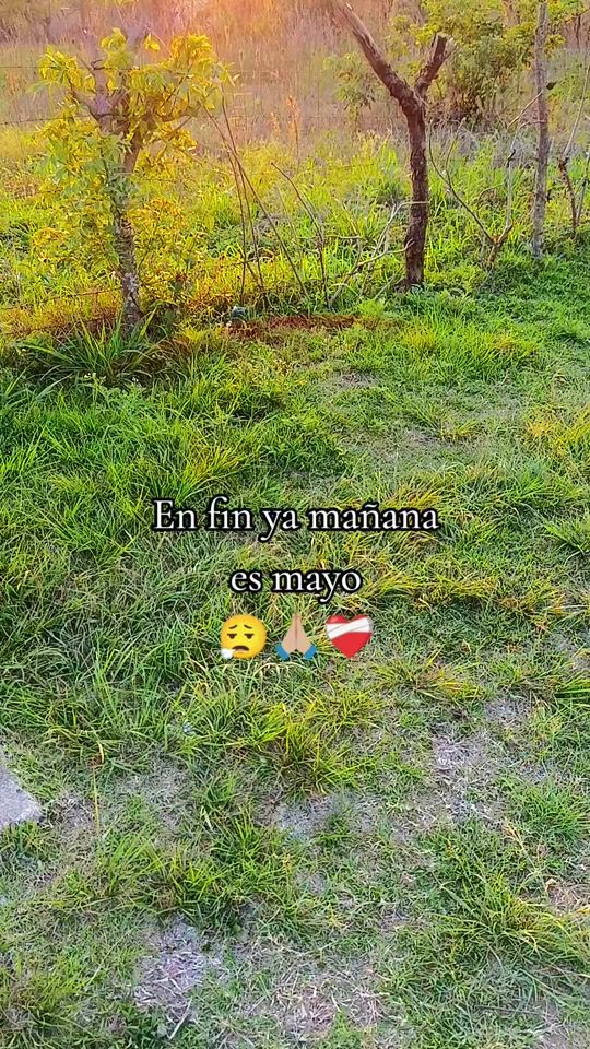 TikTok video thumbnail by pmop_osmaro