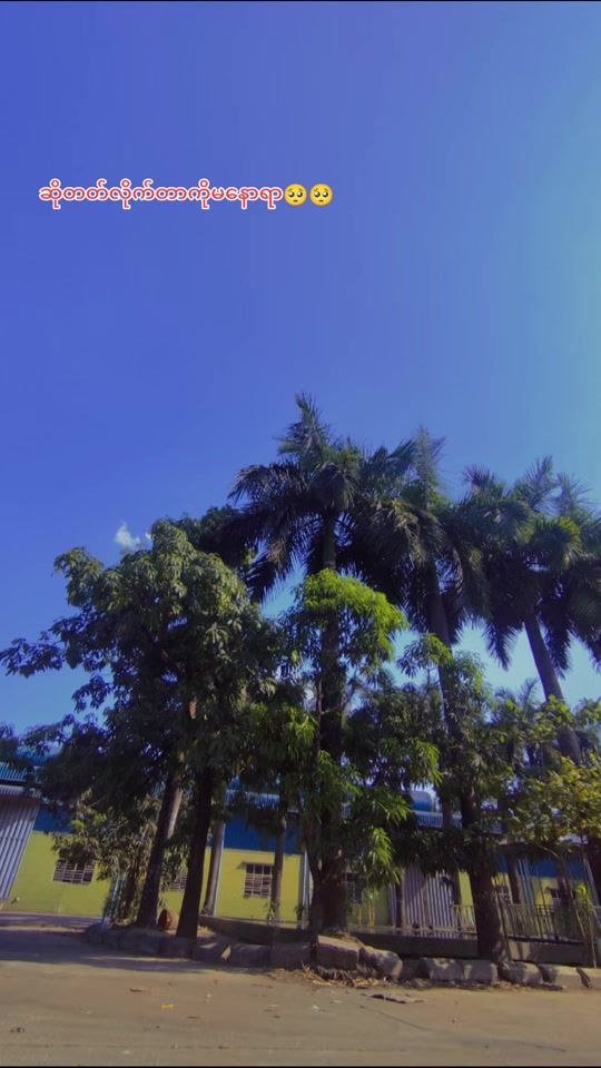 TikTok video thumbnail by saphyoaung56