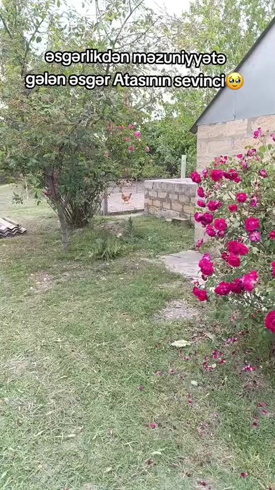 TikTok video thumbnail by ev_sirniyatlar1