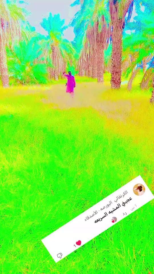 TikTok video thumbnail by malik55gmail.com6