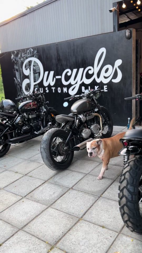 TikTok video thumbnail by pu.cycles
