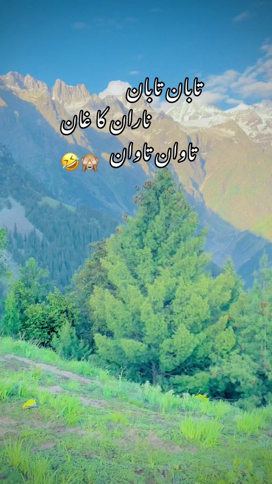 TikTok video thumbnail by amjad.ali757