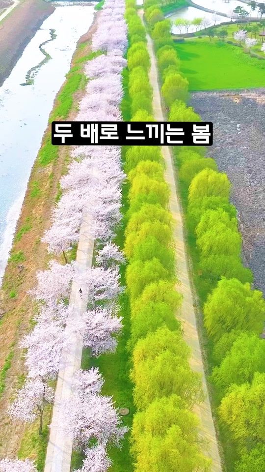 TikTok video thumbnail by ddoo_pd