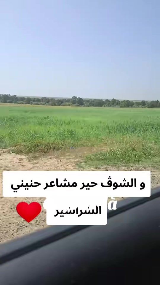 TikTok video thumbnail by mousamariem