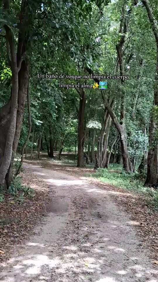 TikTok video thumbnail by jorgebikers6