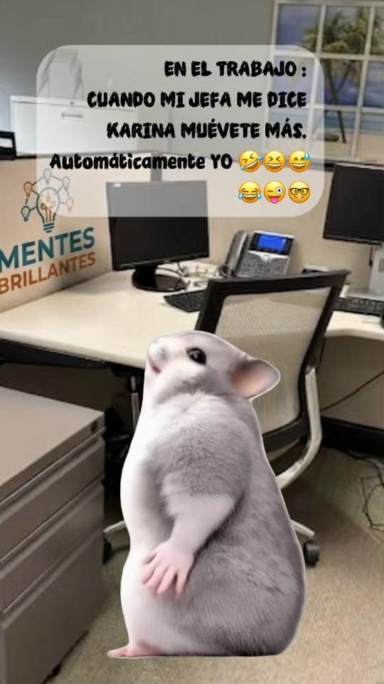 TikTok video thumbnail by karinajironv