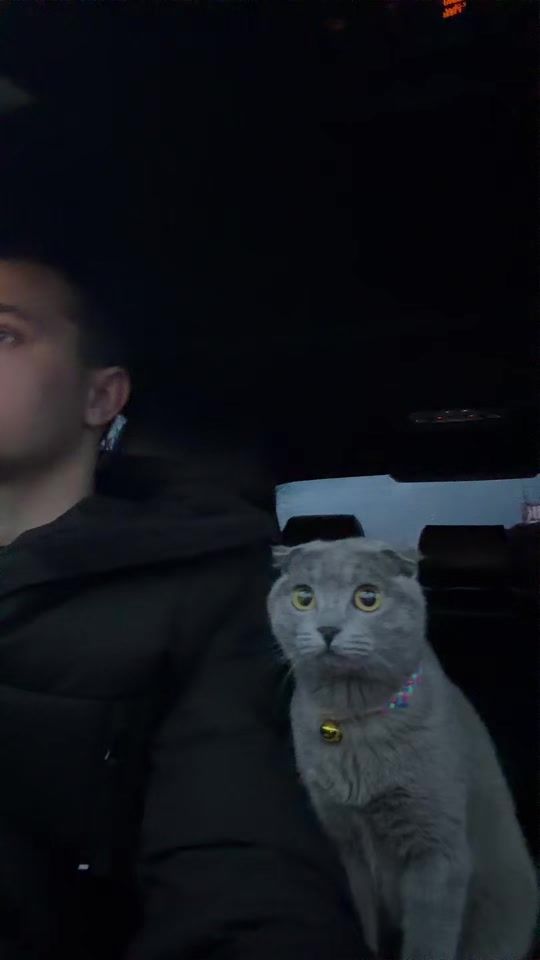TikTok video thumbnail by danuuu.1