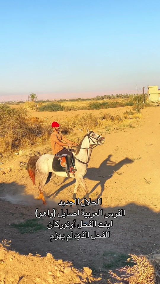 TikTok video thumbnail by mu96.m