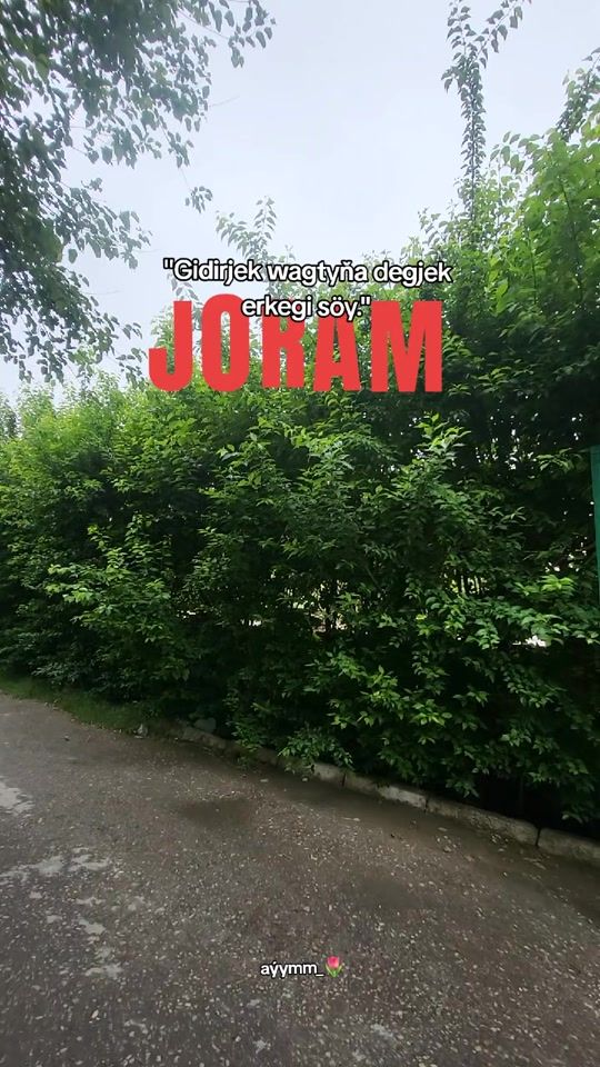 TikTok video thumbnail by aikamm_71