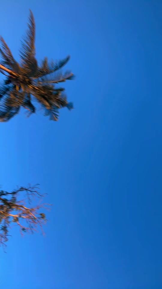 TikTok video thumbnail by .katongo070