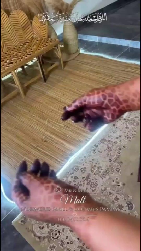 TikTok video thumbnail by aminadeco1