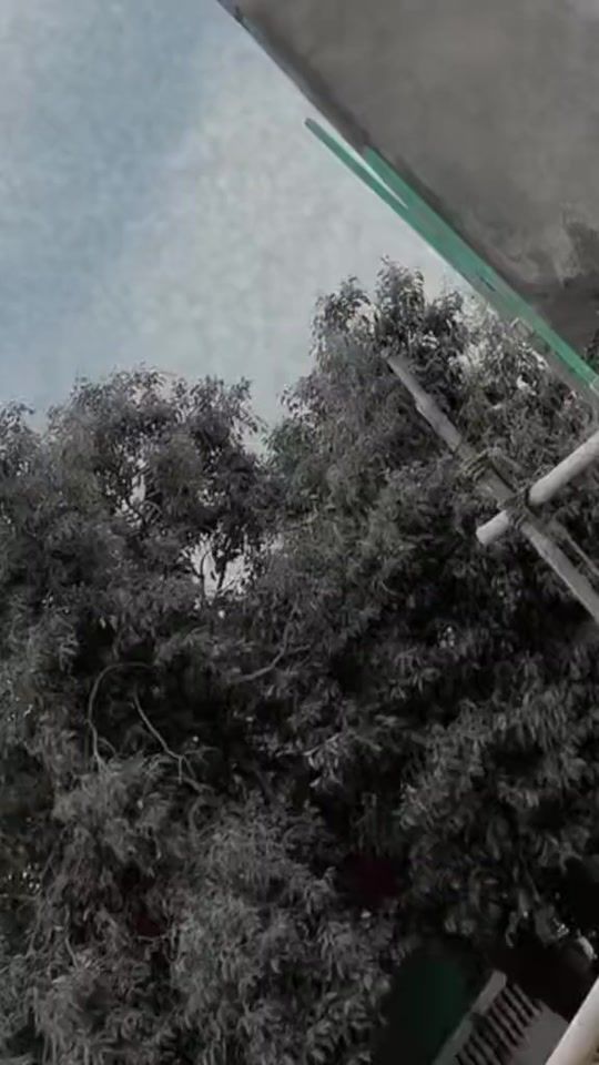 TikTok video thumbnail by dubai_ki_queen