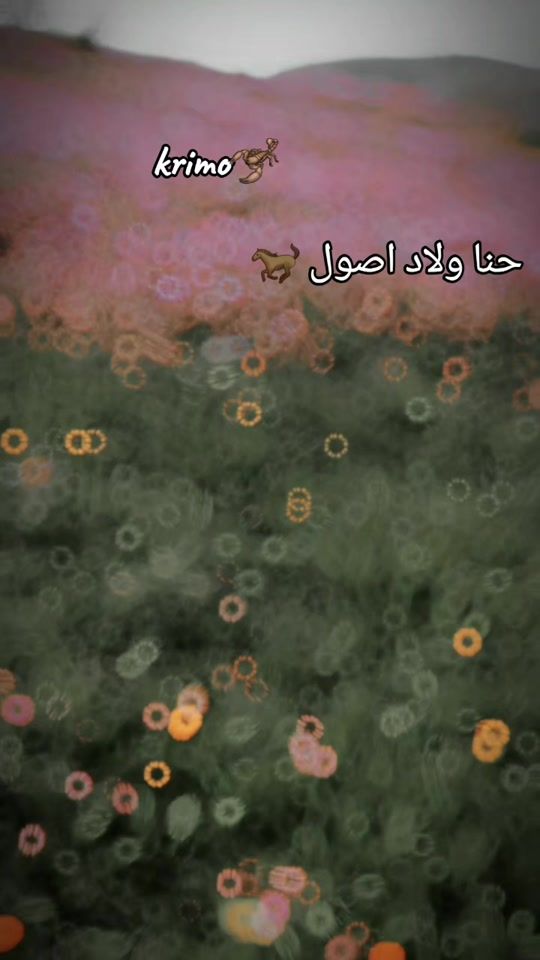 TikTok video thumbnail by moudir.s3