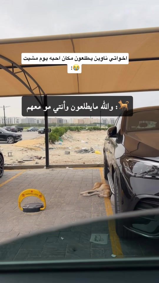 TikTok video thumbnail by fto0omhasiri