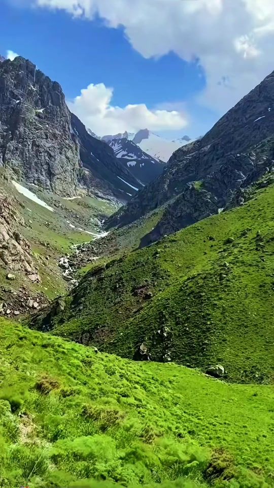 TikTok video thumbnail by babamyokki