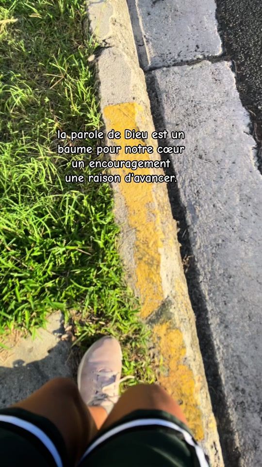 TikTok video thumbnail by shbnord