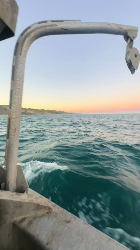 TikTok video thumbnail by stacey_bell22