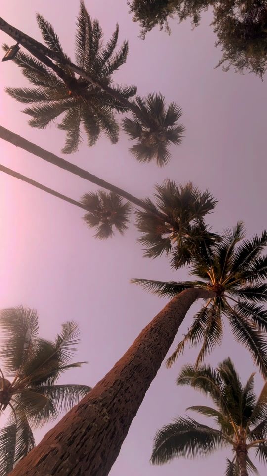 TikTok video thumbnail by tups.moz