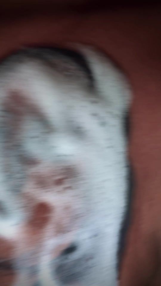 TikTok video thumbnail by chamatattoo