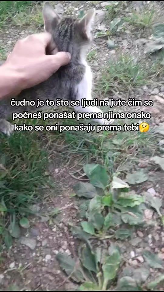 TikTok video thumbnail by leo.plavcic