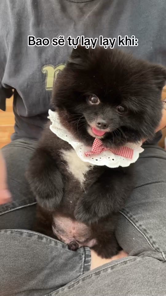 TikTok video thumbnail by juniehouse