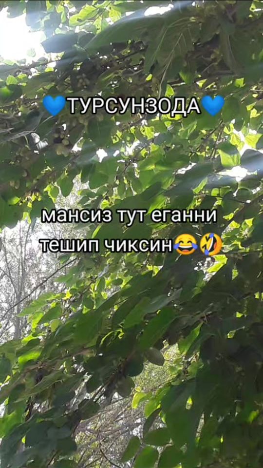 TikTok video thumbnail by _711madamchik