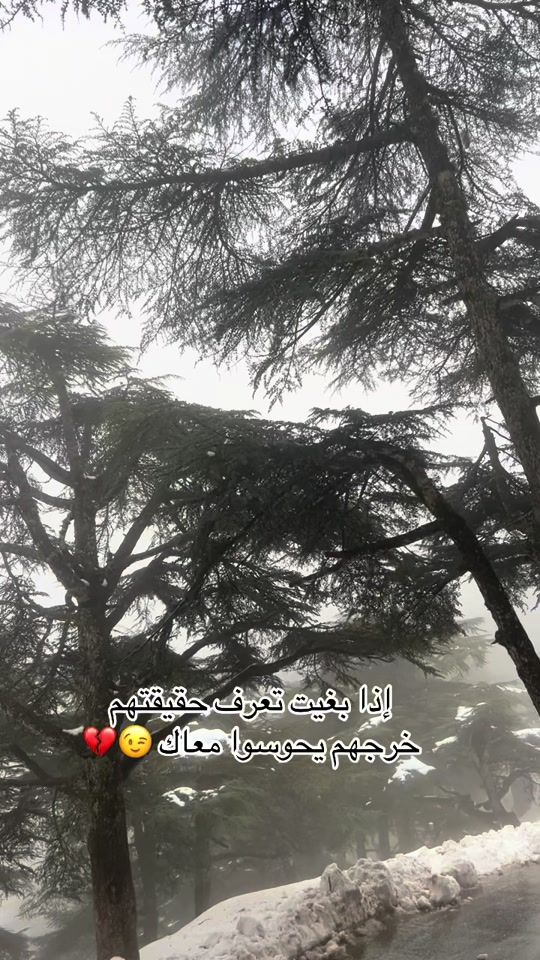 TikTok video thumbnail by amine..auto