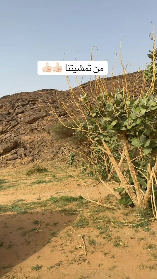 TikTok video thumbnail by dham2030