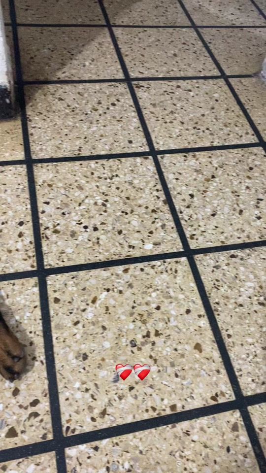 TikTok video thumbnail by rottlovely