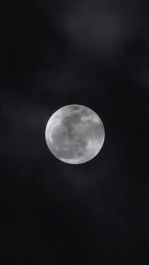 TikTok video thumbnail by usersl7fkzb3fc