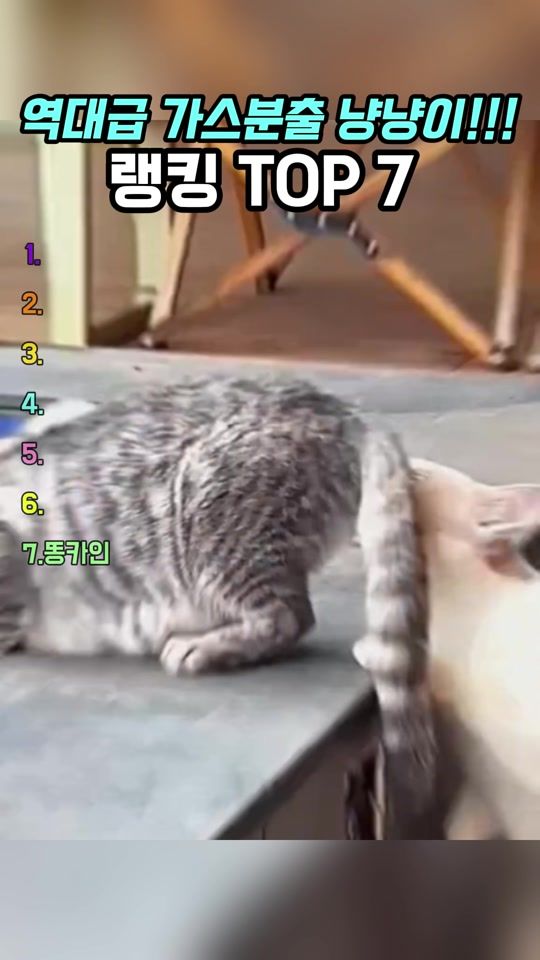 TikTok video thumbnail by meggeramusa