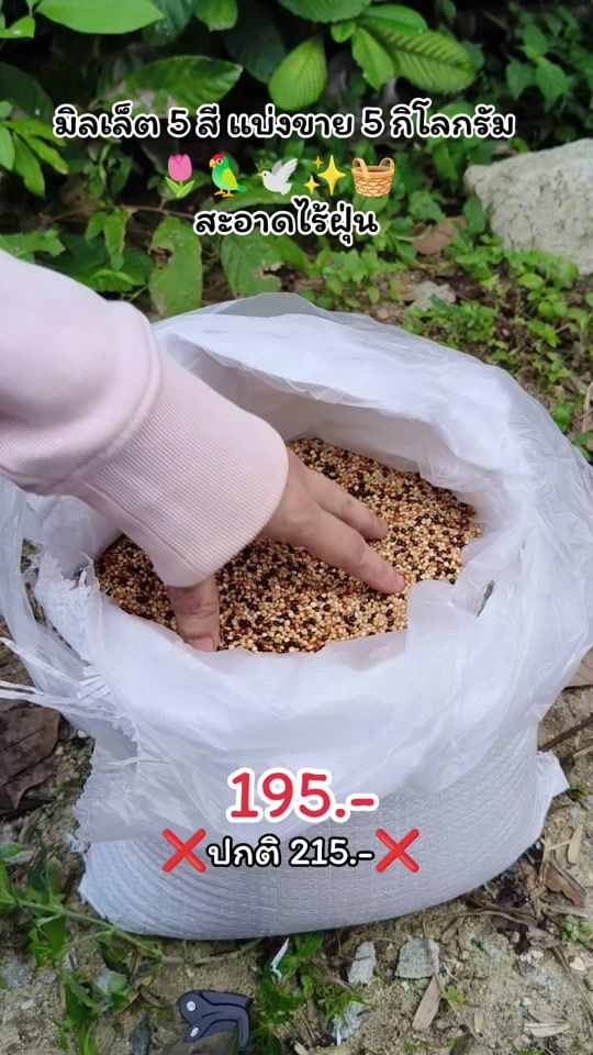 TikTok video thumbnail by ateeja_shop