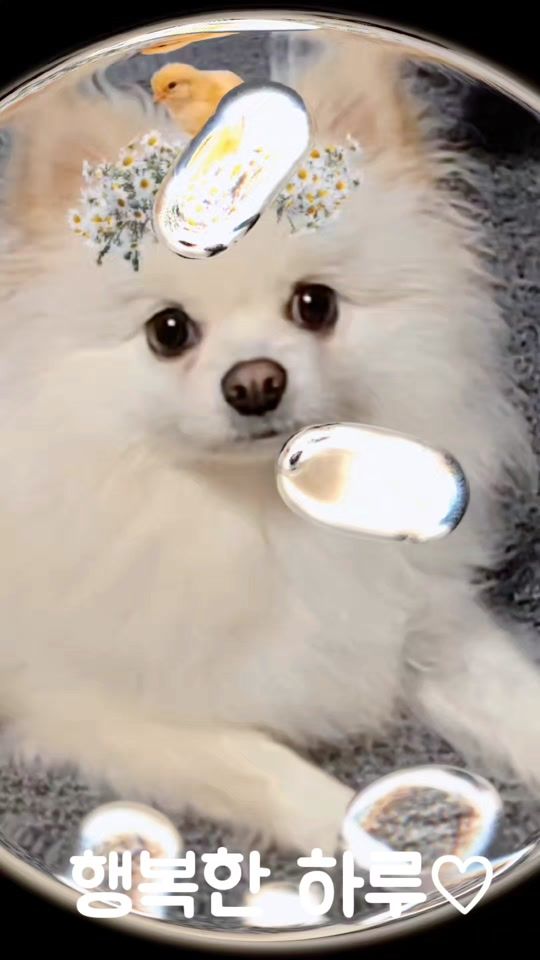 TikTok video thumbnail by user9101011333429