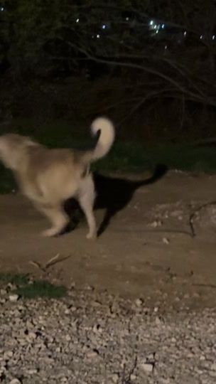 TikTok video thumbnail by dakiprizren