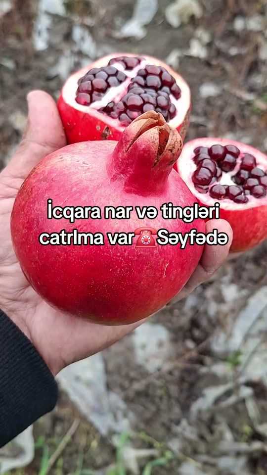 TikTok video thumbnail by nahid.narc