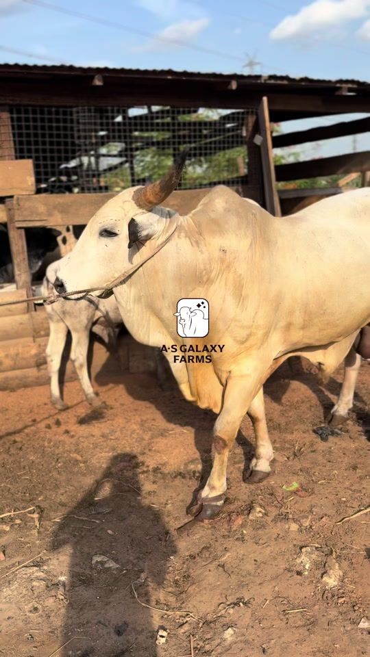 TikTok video thumbnail by galaxy_farms