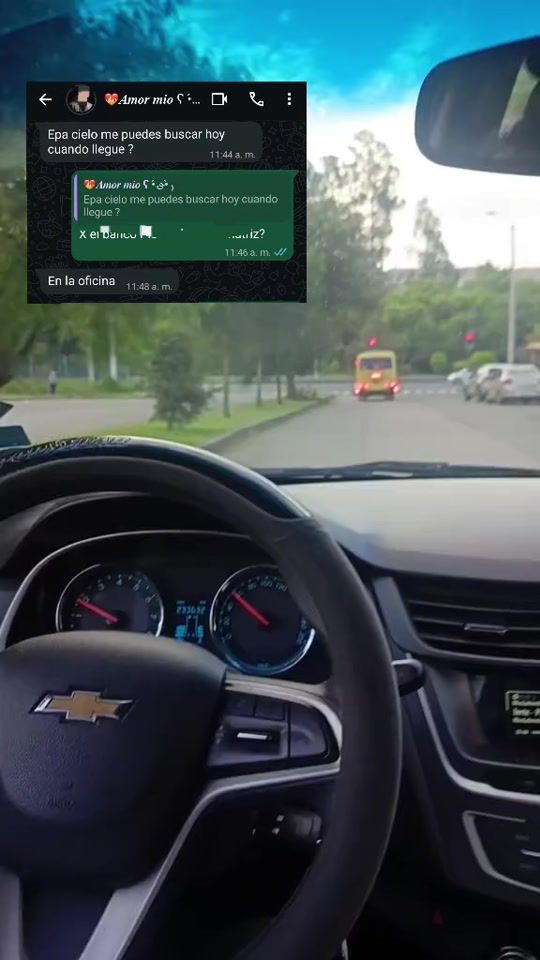 TikTok video thumbnail by pn_lian