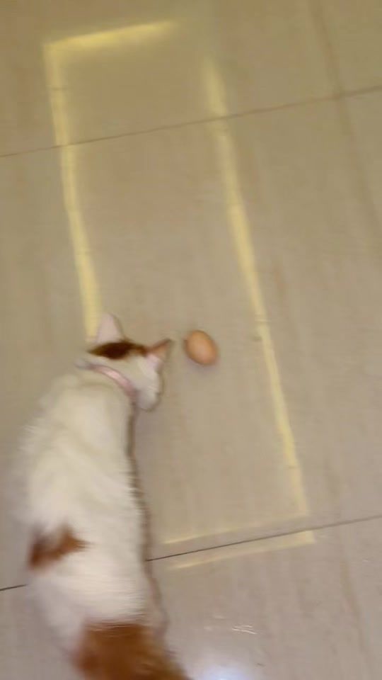 TikTok video thumbnail by ekrams_molly