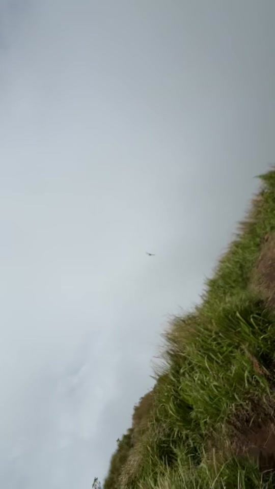 TikTok video thumbnail by hainind