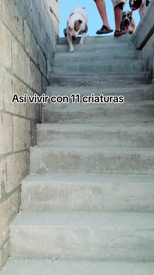 TikTok video thumbnail by dianakarenhernand6