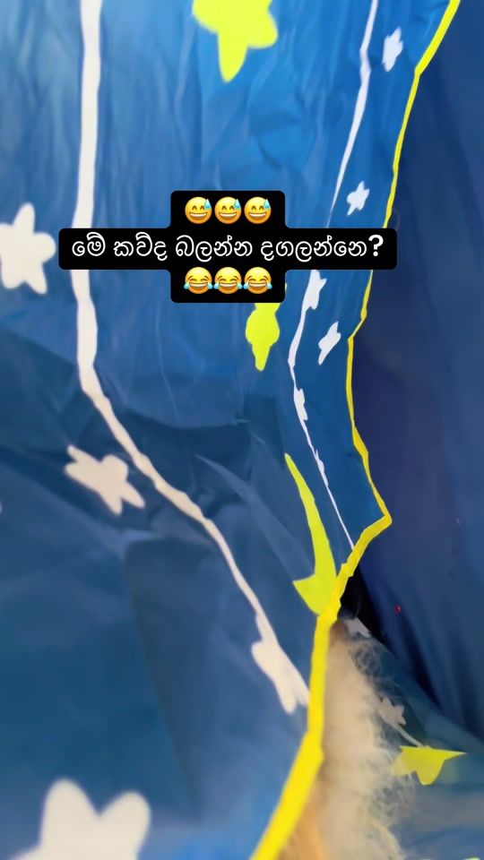 TikTok video thumbnail by shadow_gsd_pup
