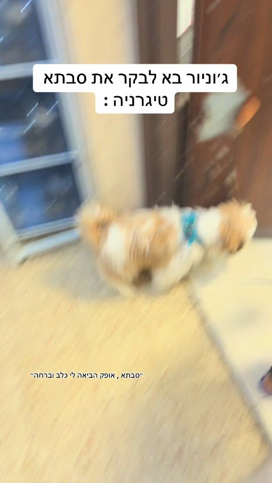 TikTok video thumbnail by natnesh.walely