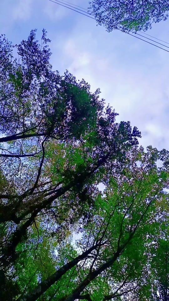 TikTok video thumbnail by user89197255